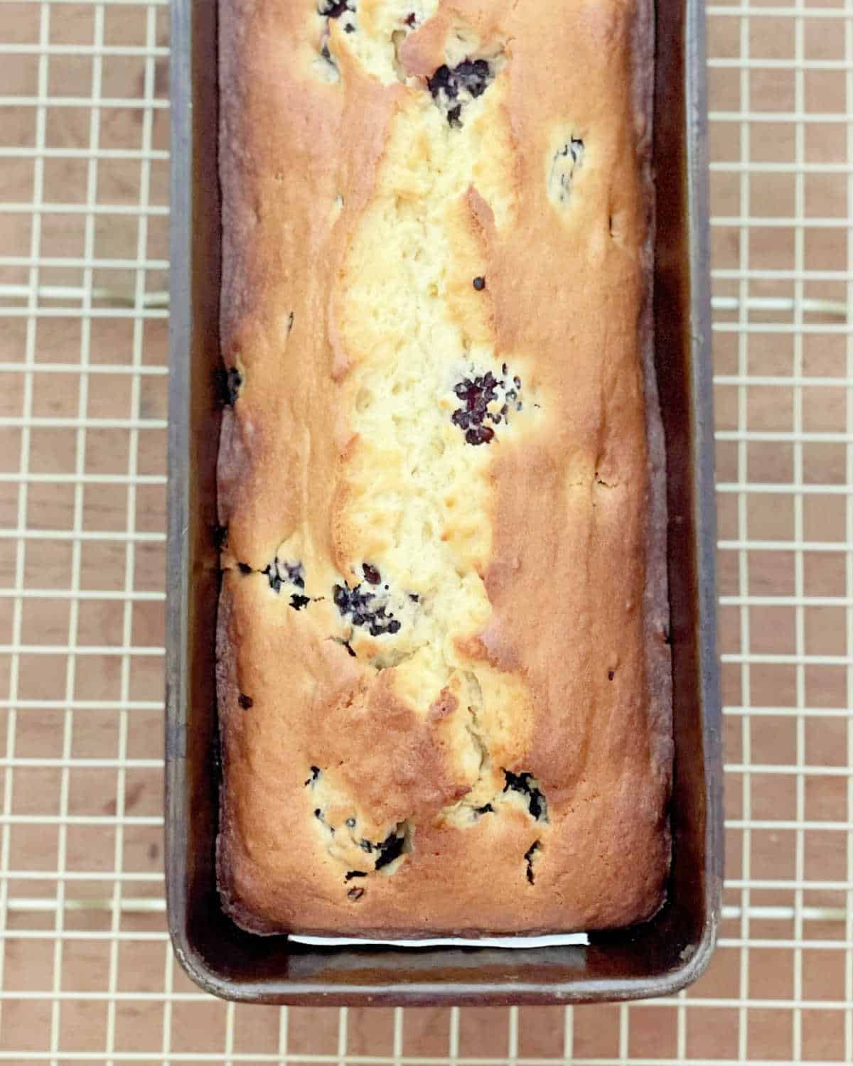 Partial view of baked blackberry loaf in the pan on a wire rack set on a wooden surface. 
