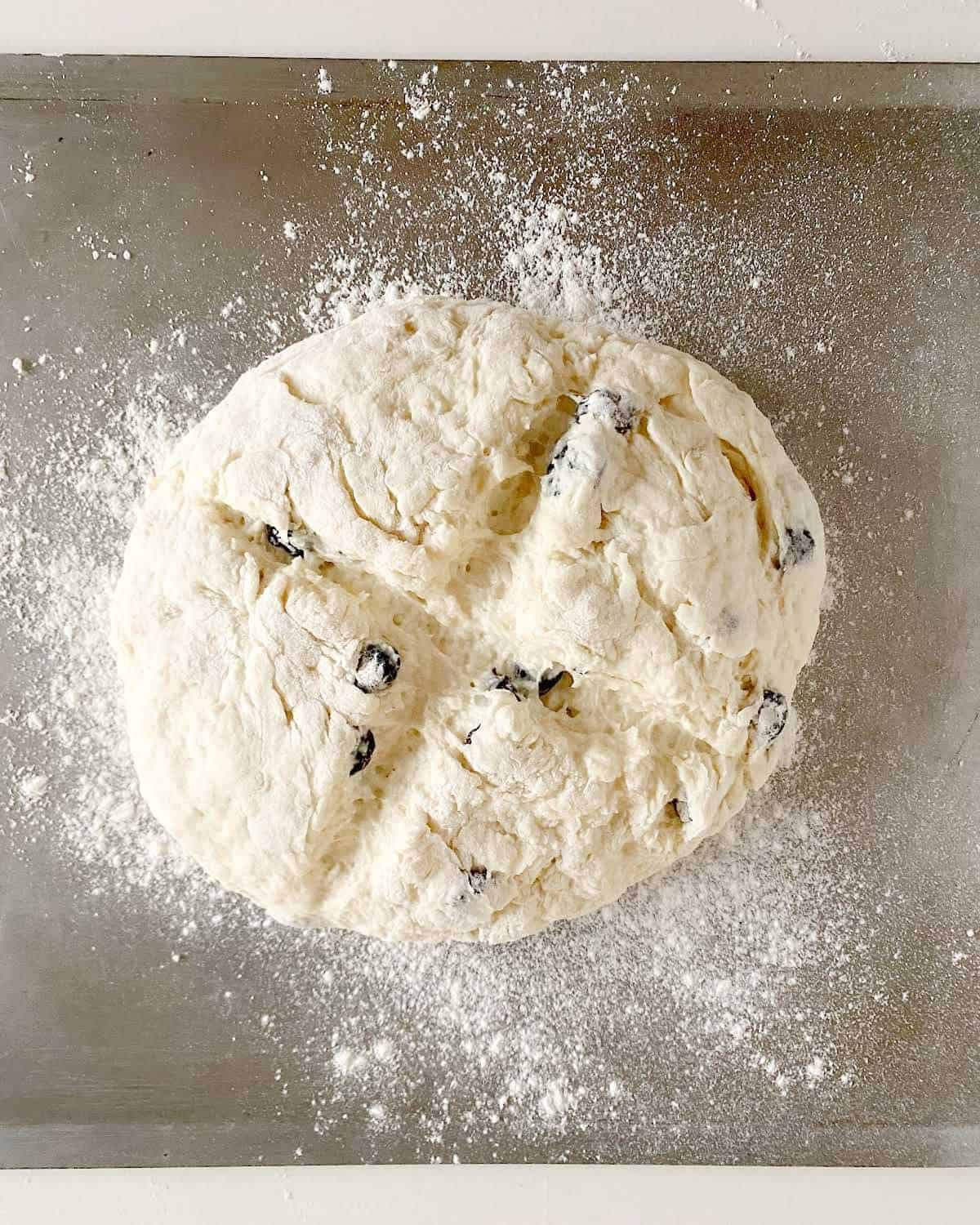 Unbaked round of raisin bread dough with a cross on top on a metal baking sheet.