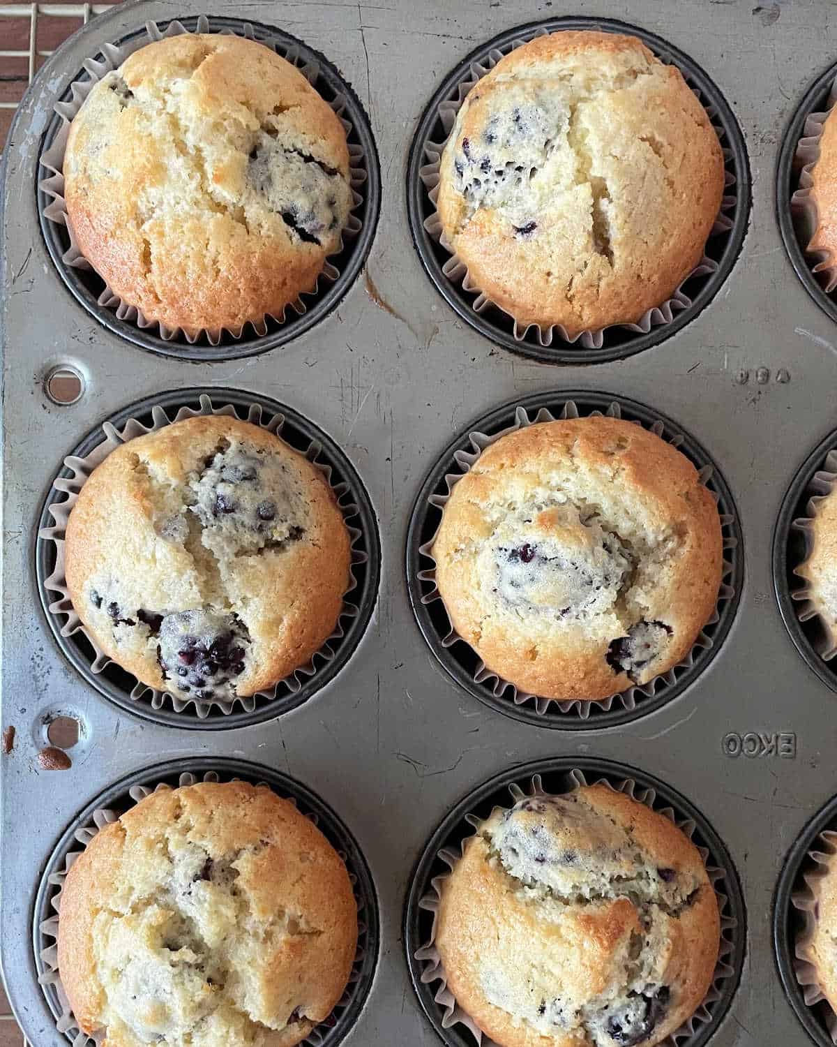 Baked blackberry muffins in the metal pan. Close up image.
