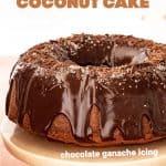 Whole chocolate iced bundt cake on pink cake stand and surface; brown text overlay.