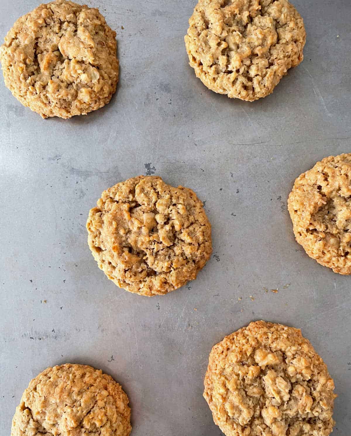 Baked oatmeal cookies on metal sheet pan, close up view from top.