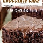 A bitten square of glazed chocolate cake with white and brown text overlay.
