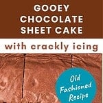 Teal, white and brown text overlay on iced chocolate sheet cake.