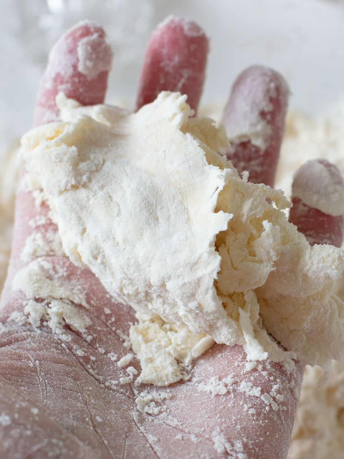Large clump of dry pie crust dough in the palm of a hand.