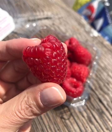 Hand holding a fresh raspberry over a grey wooden tables with rest of berries in plastic container.