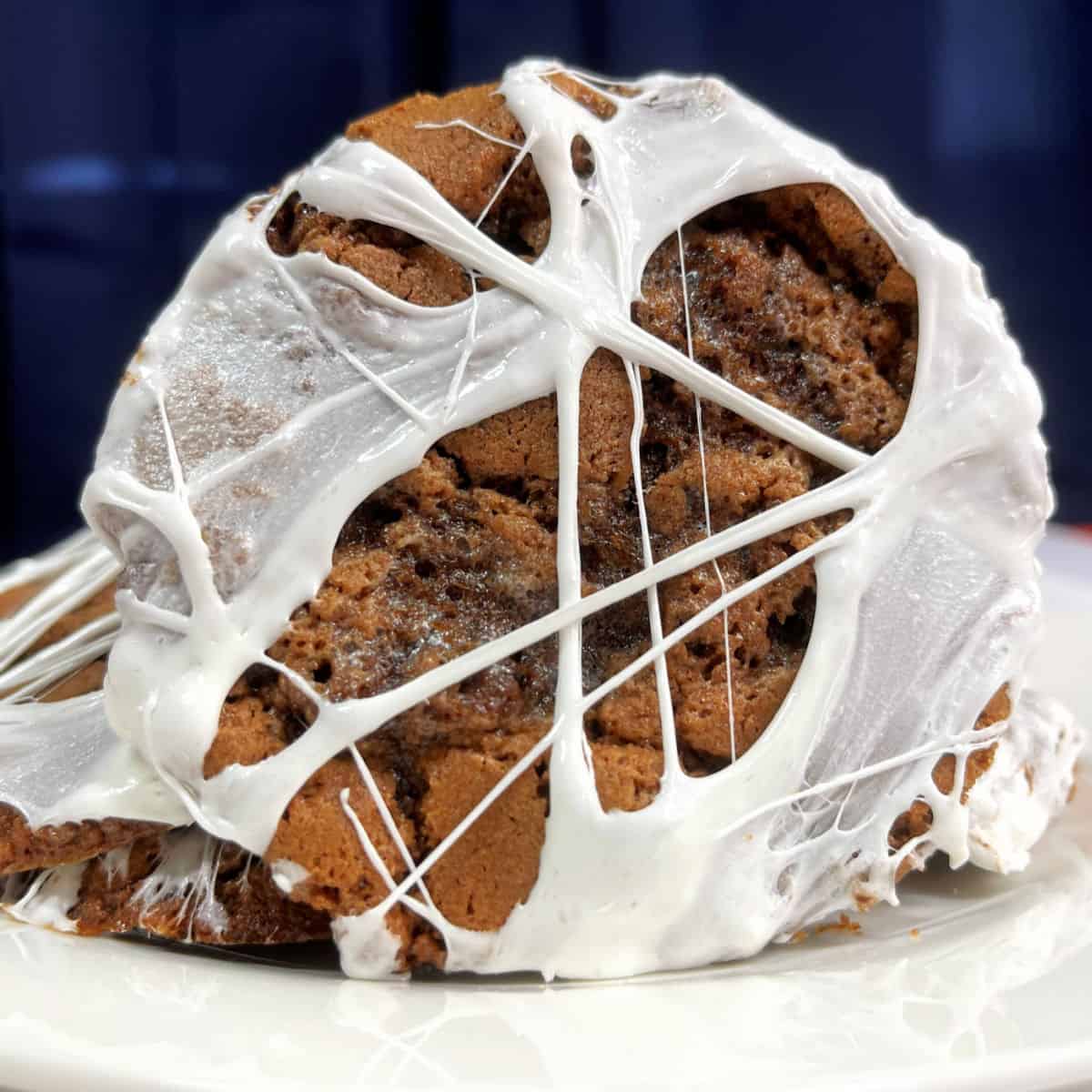 Close up of chocolate cookie with marshmallow web on a white surface with blue background.