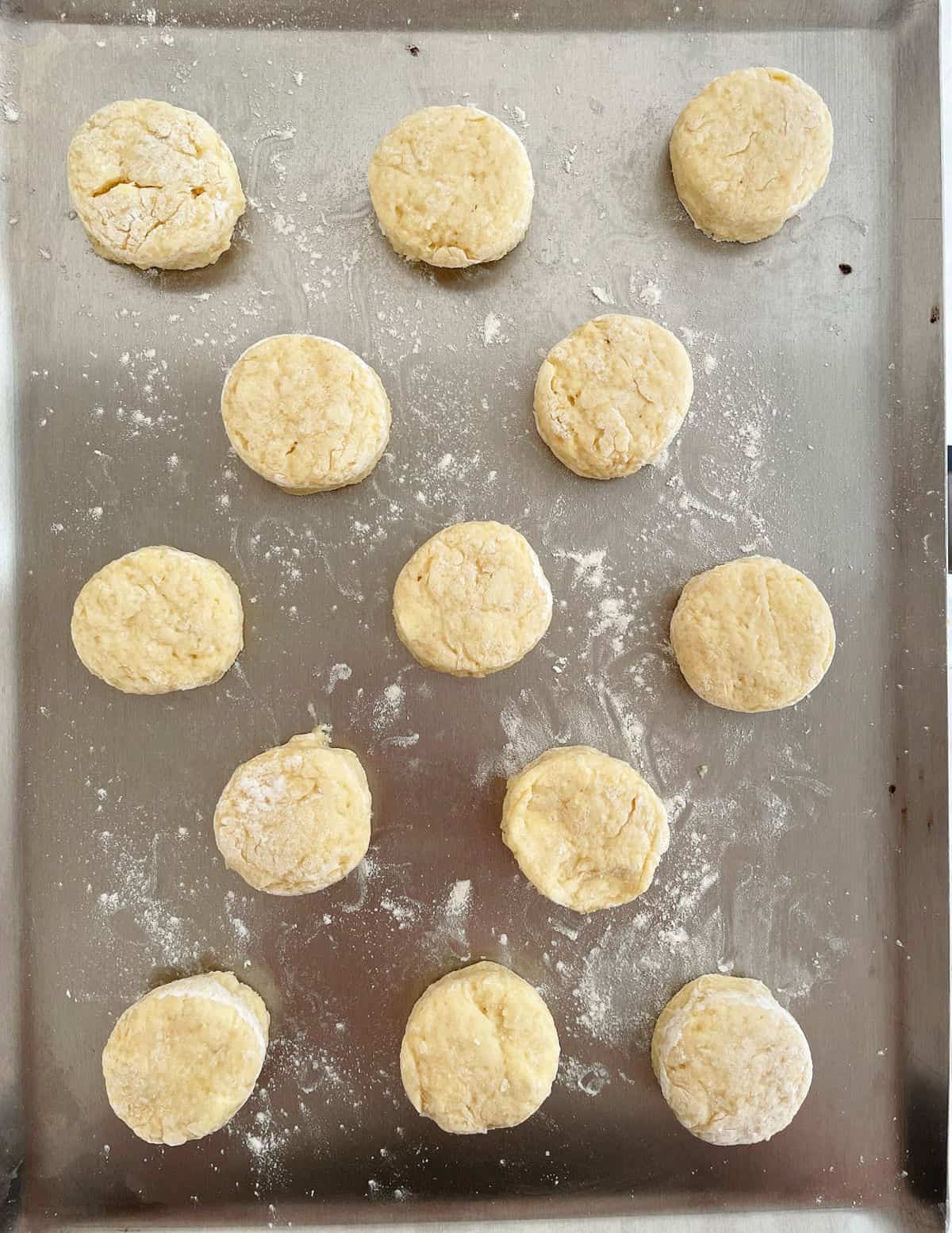 Metal baking tray with round scones before baking.