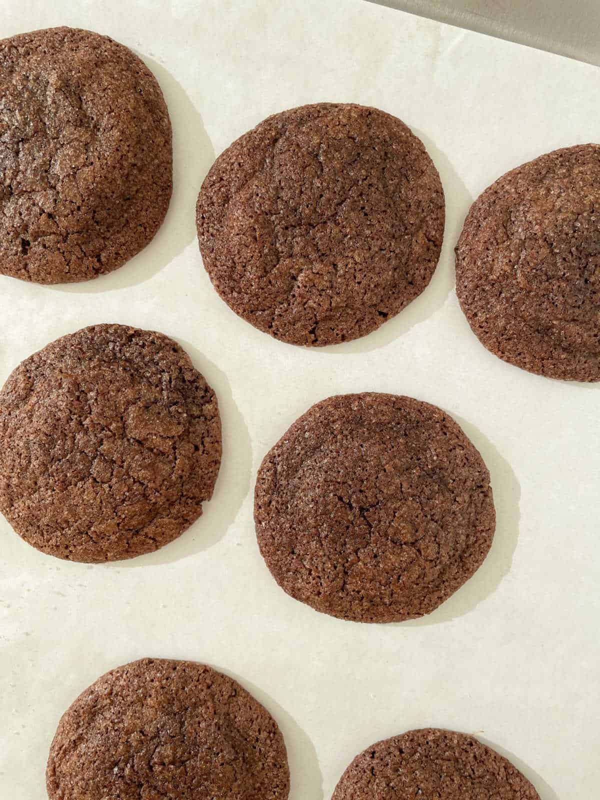 Baked chocolate snickerdoodles on white parchment paper.