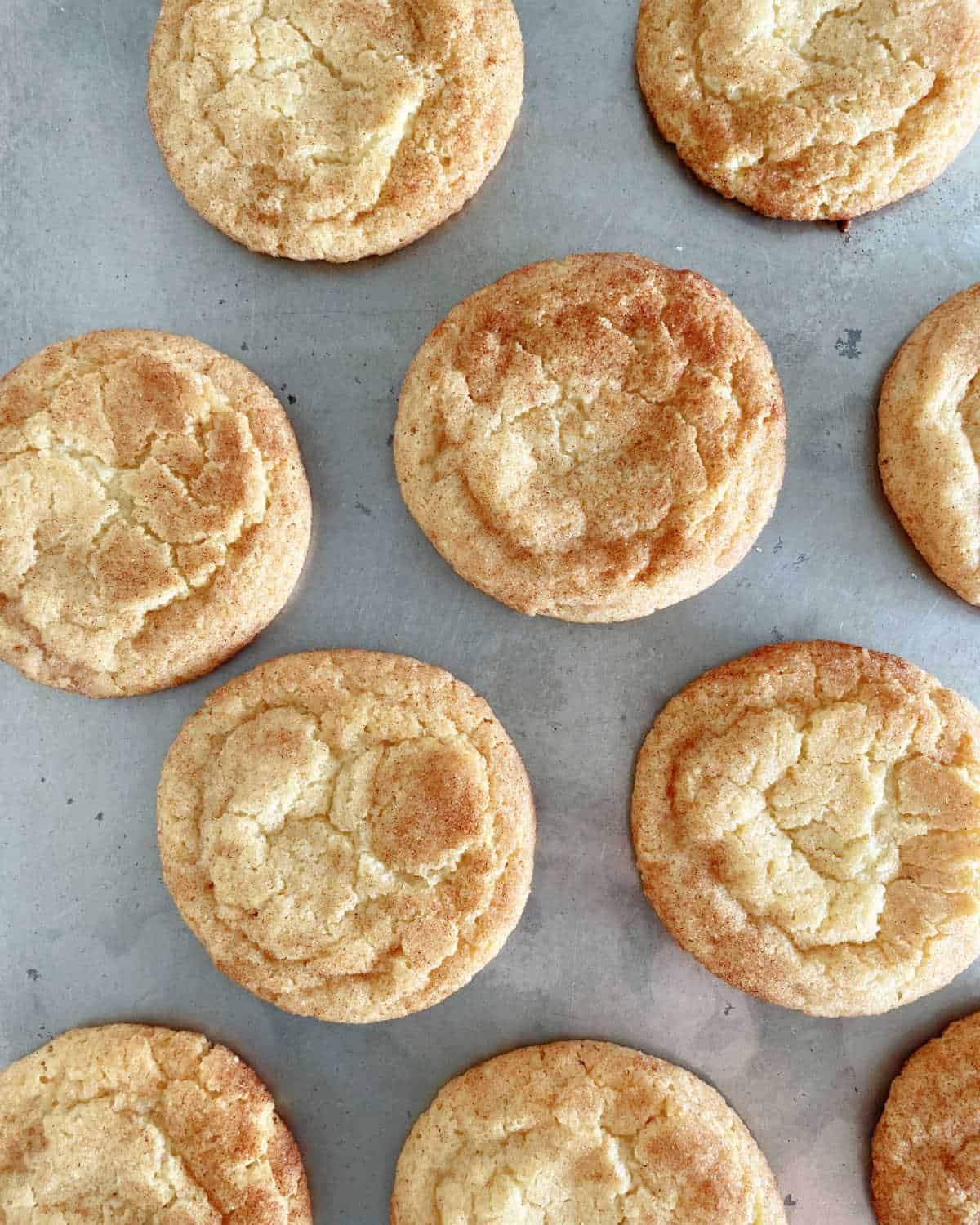 Top close up view of baked snickerdoodle cookies on the cookie sheet.