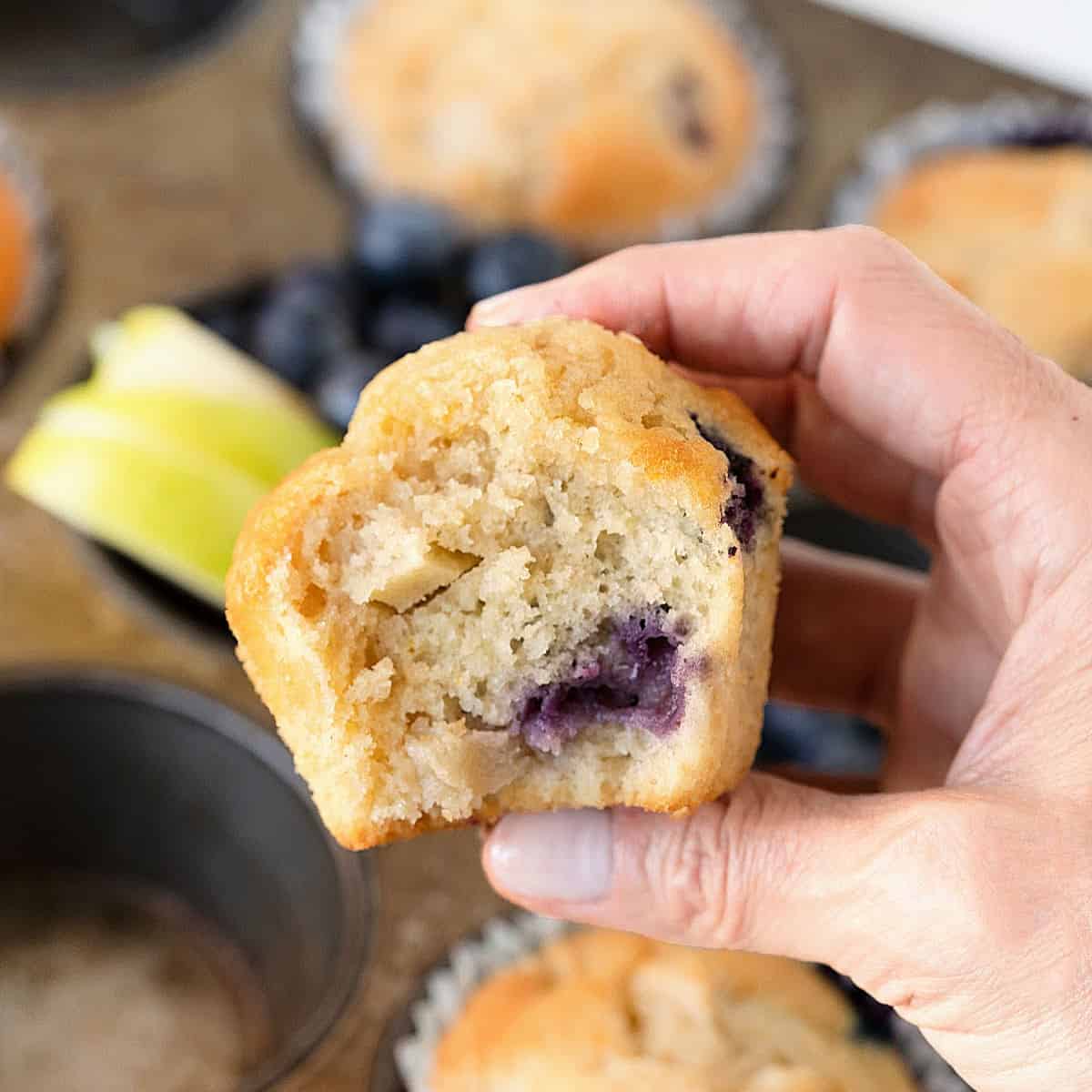 Close up of hand holding bitten apple blueberry muffin. Metal pan with more muffins and fruit below.