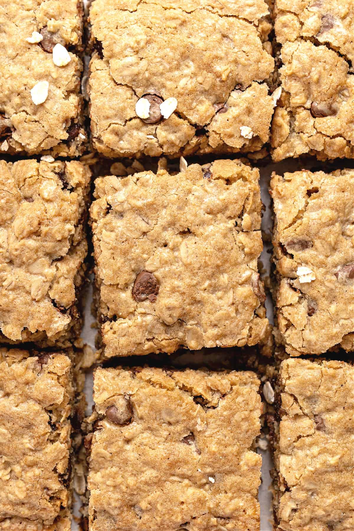 Close up oat chocolate chip squares.