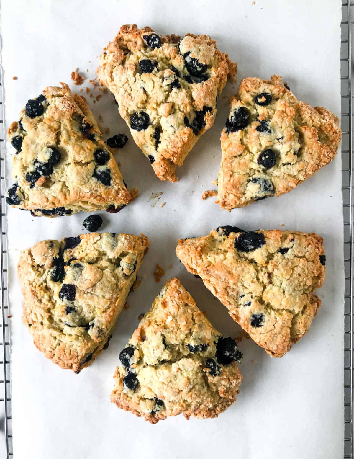 Top view of baked blueberry scones in a circle on white parchment paper.