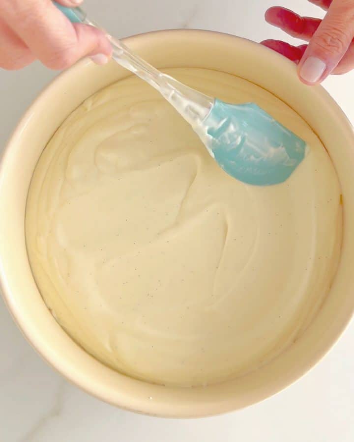 Condensed Milk Ice Cream (nochurn) Vintage Kitchen Notes