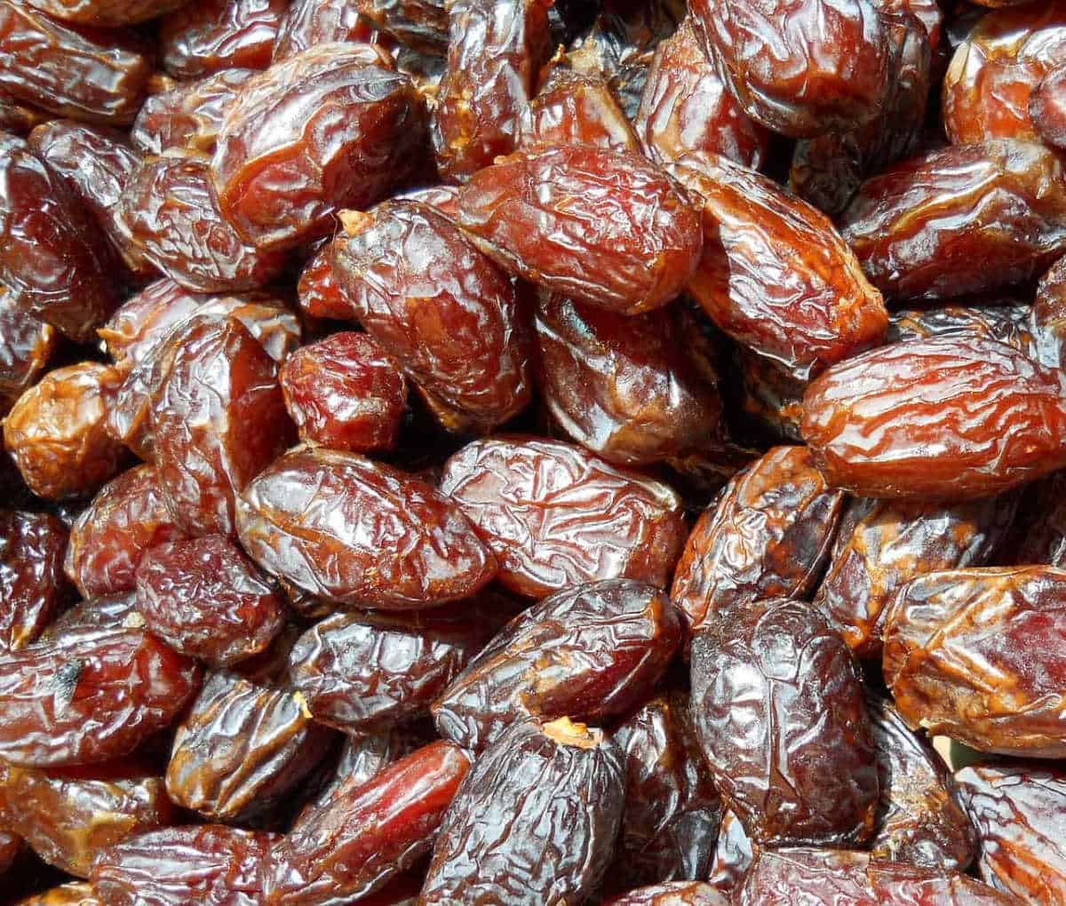 Close-up of lots of Medjool dates.