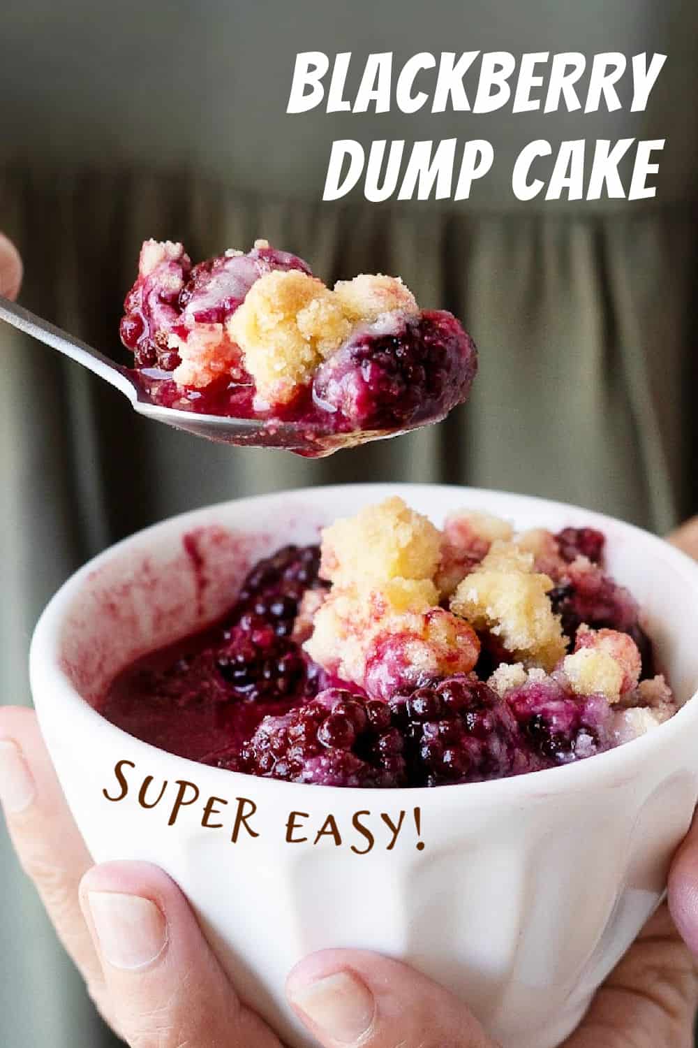 Blackberry Dump Cake Vintage Kitchen Notes