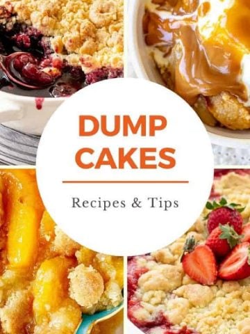 Cover image collage with four dump cakes and central circle with orange text.