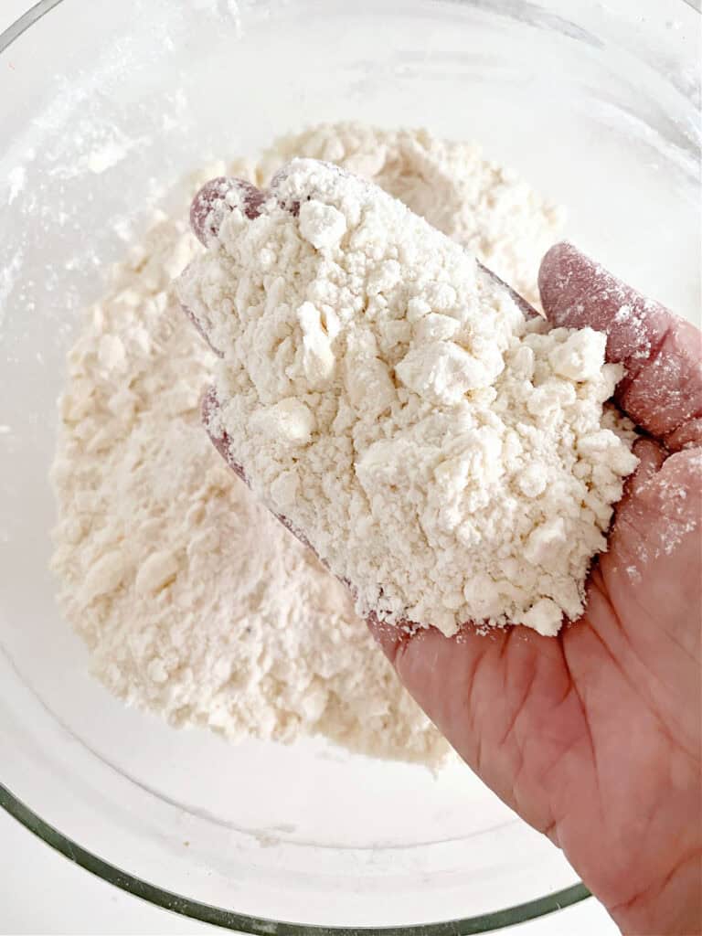 Hand holding crumbly butter flour mixture. Bowl below.