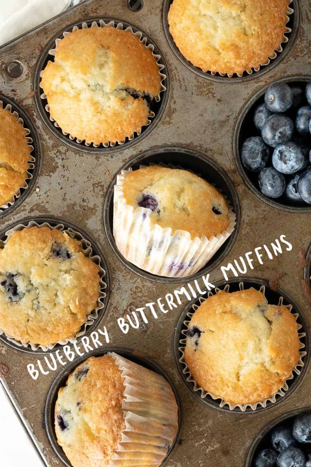 Blueberry Buttermilk Muffins Vintage Kitchen Notes