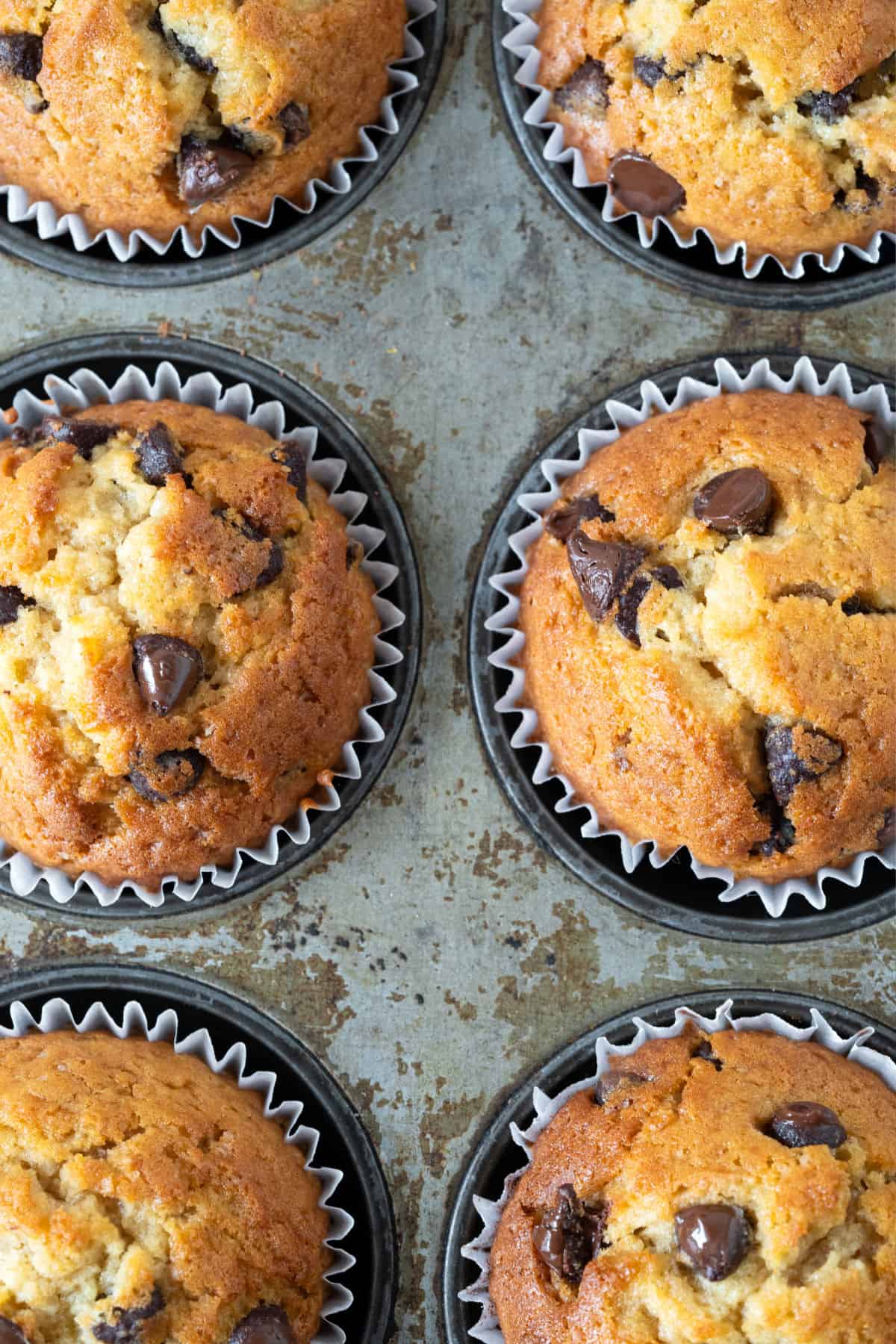 Close up partial view of chocolate chip muffins in a vintage metal pan.