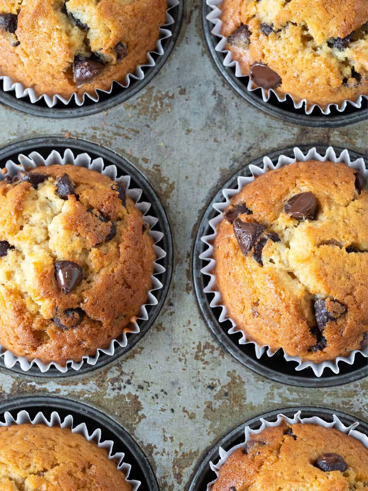 Close up partial view of chocolate chip muffins in a vintage metal pan.