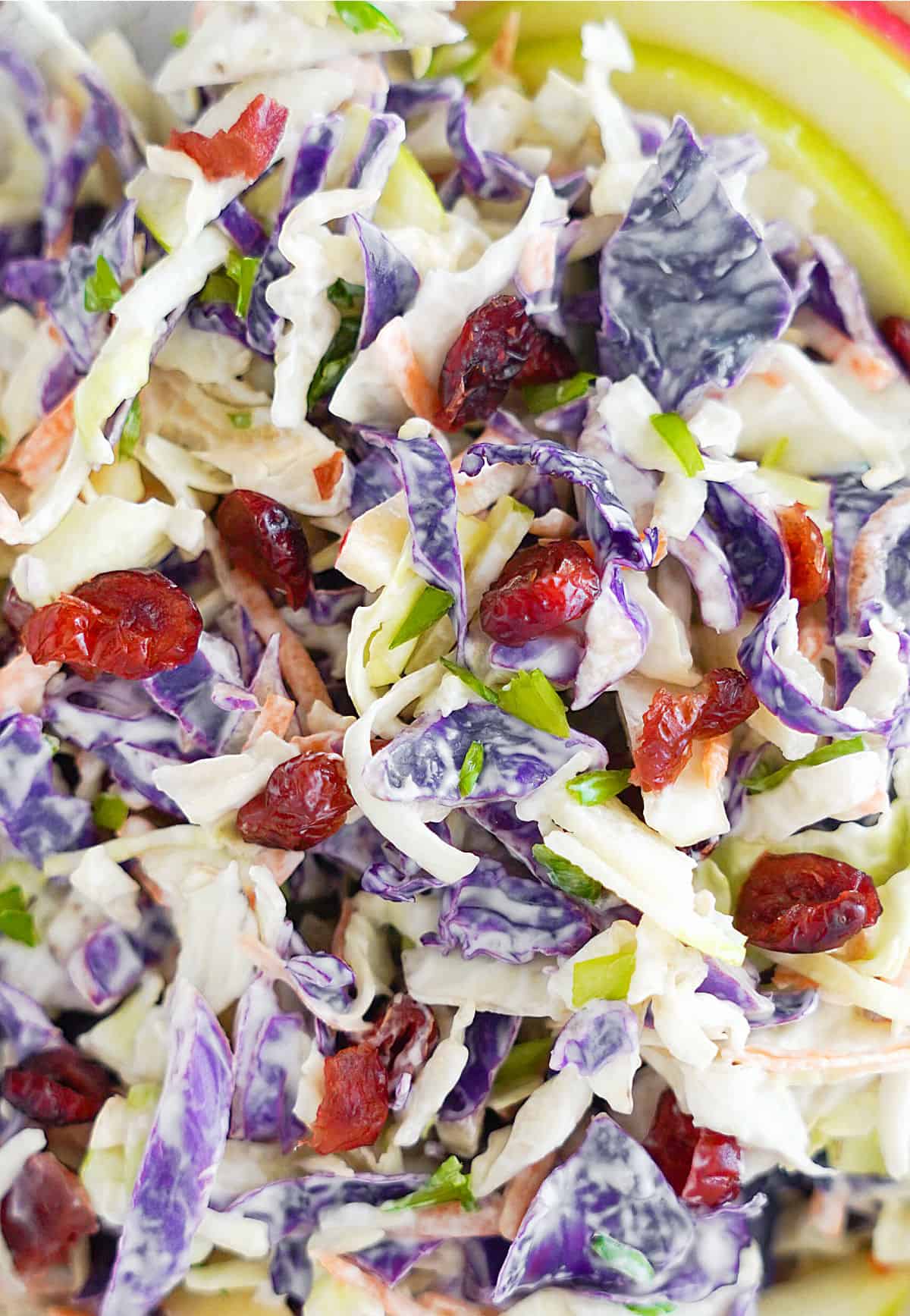 Close up of apple cranberry purple and green coleslaw.