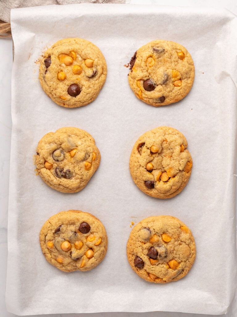 Baked chocolate chip butterscotch cookies on white parchment paper.