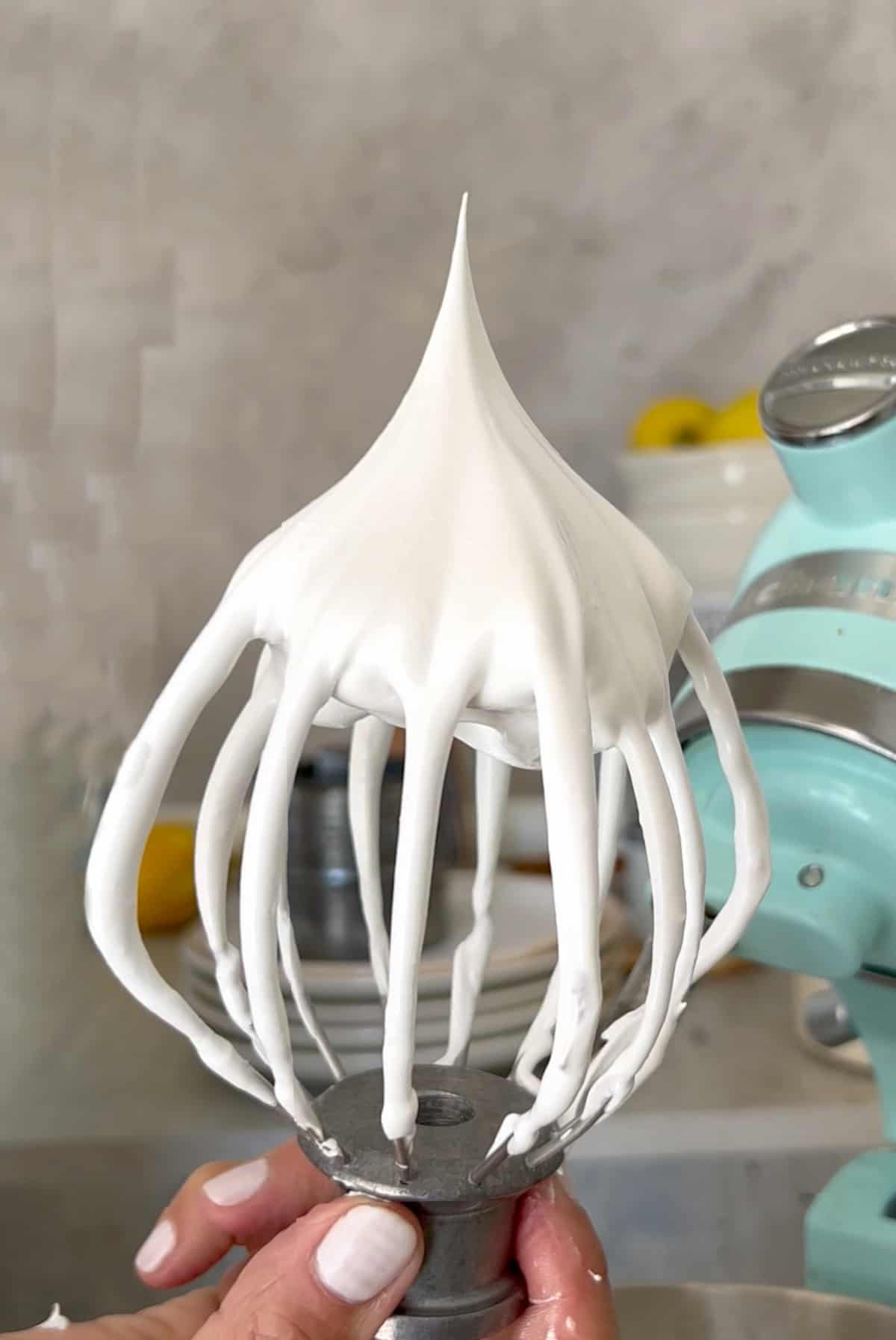 Firm meringue peak on a stand mixer whisk attachment. Grey background. 