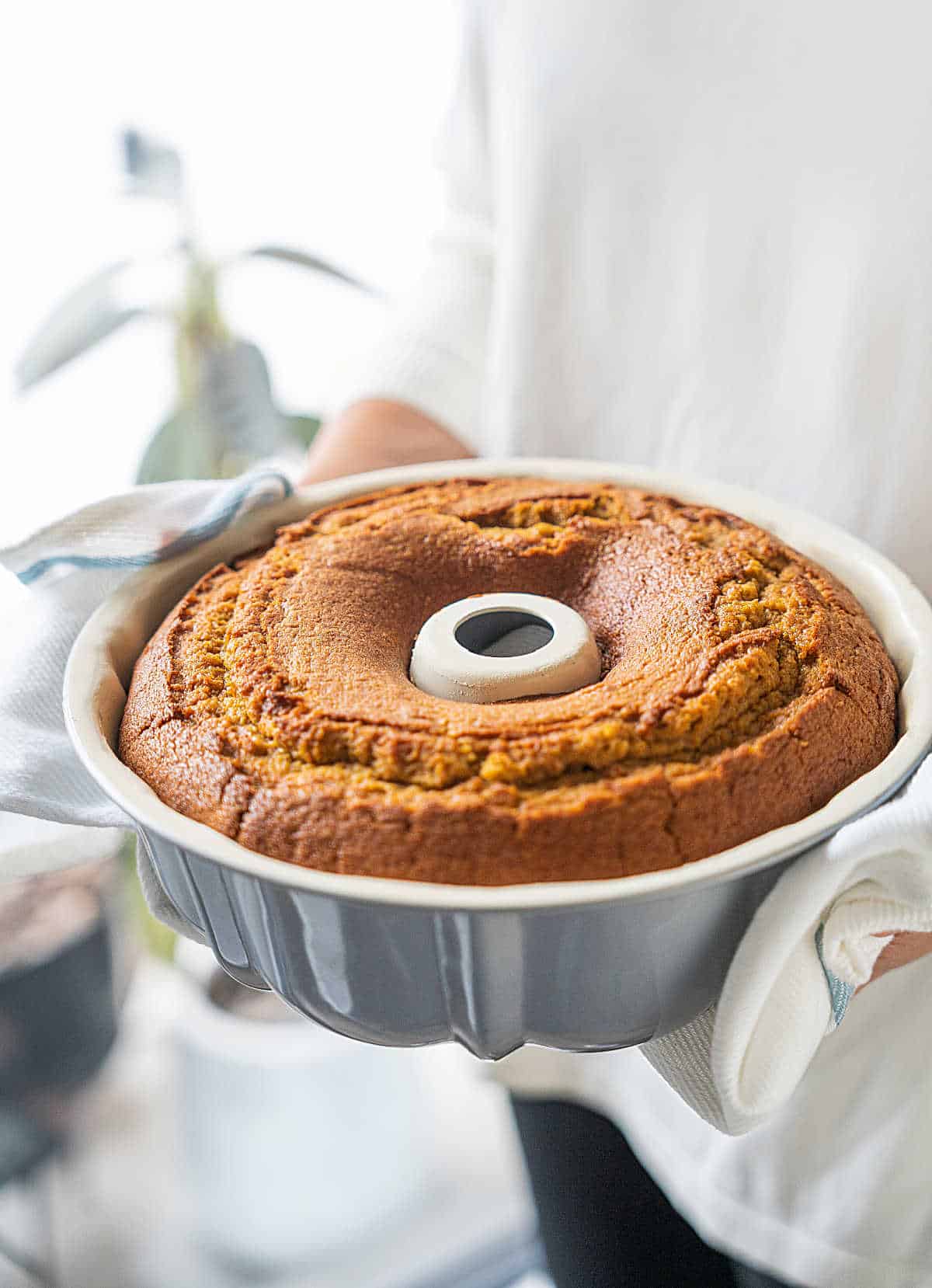 Holding a baked sweet potato bundt cake in a grey pan with a kitchen towel. White background with plants.