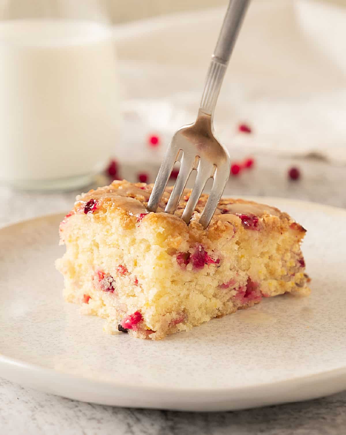 Forking a square of fresh cranberry coffee cake on a white plate. White background with glass of milk.