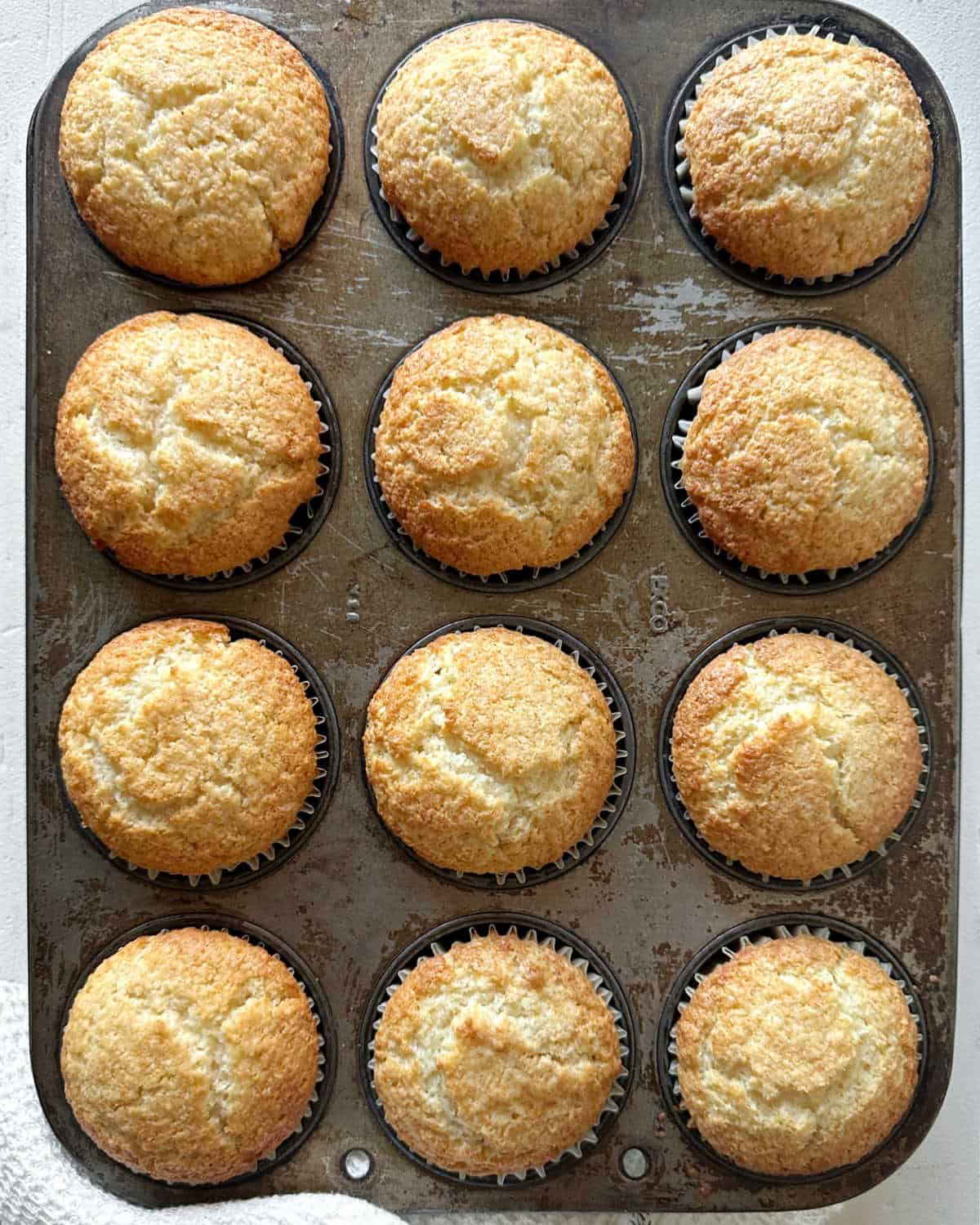 Twelve baked coconut muffins in a metal tin. Top view.