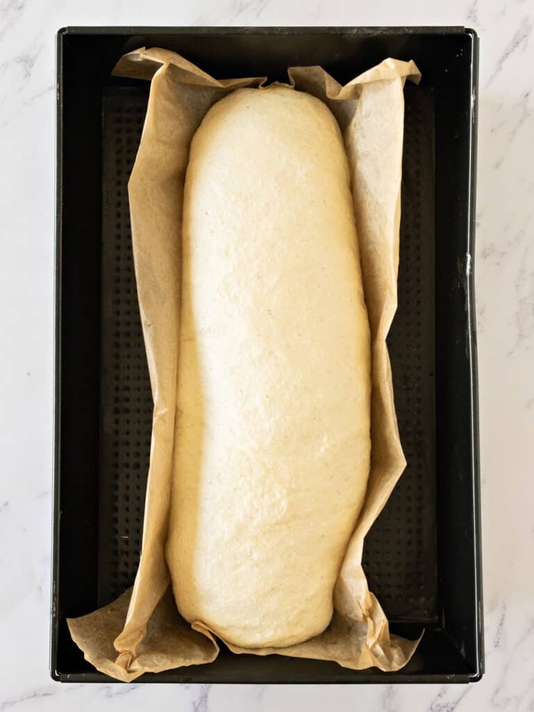 Risen loaf of semolina bread on parchment paper and black oven tray.