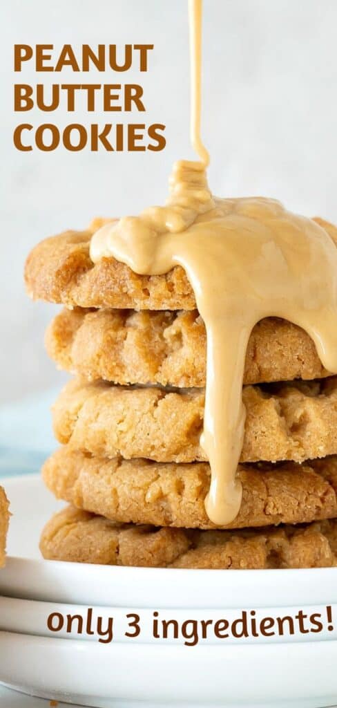 Brown text overlay on stack of peanut butter cookies. Gray background.