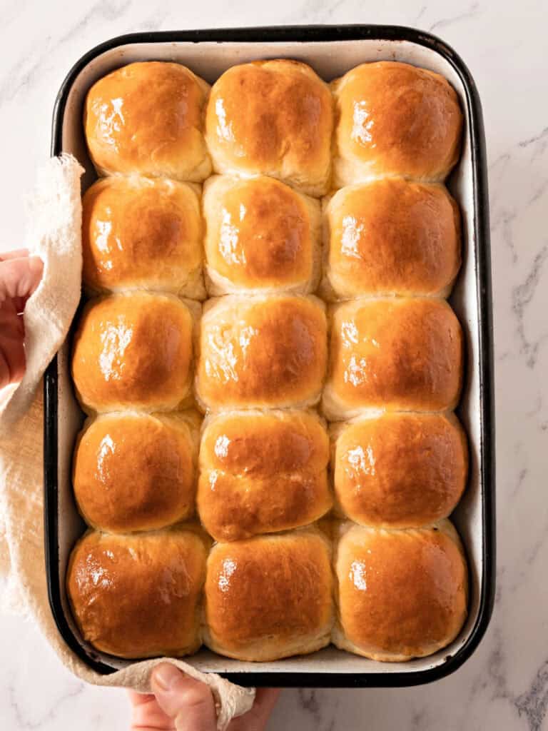 Baked shiny dinner rolls in a black-ribbed white pan. Top view.