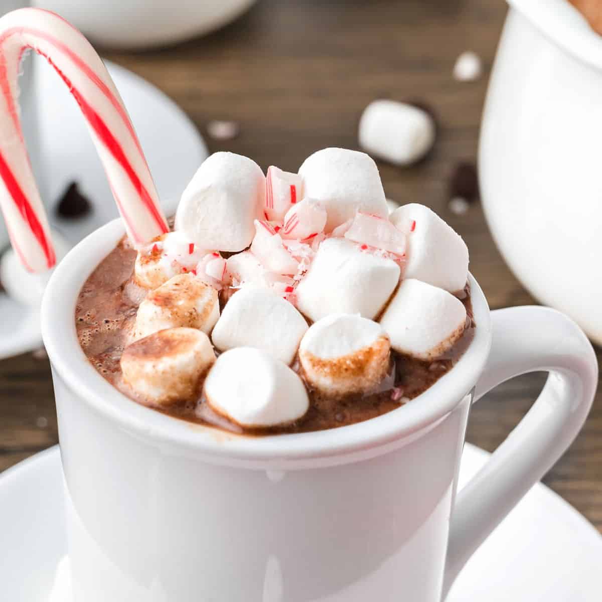 Peppermint Hot Chocolate (10 minute recipe) - Vintage Kitchen Notes
