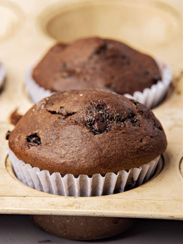 Two chocolate cupcakes in white paper liner in a wooden muffin tin.