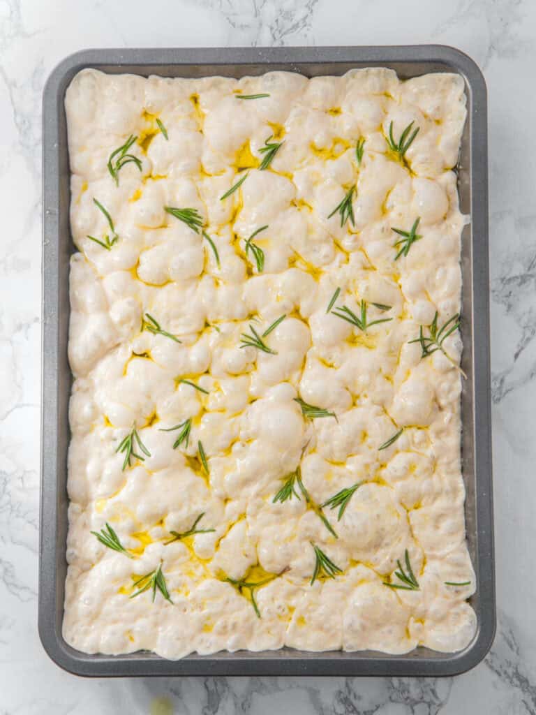 Rectangular pan with focaccia dough with oil and rosemary. Top view.