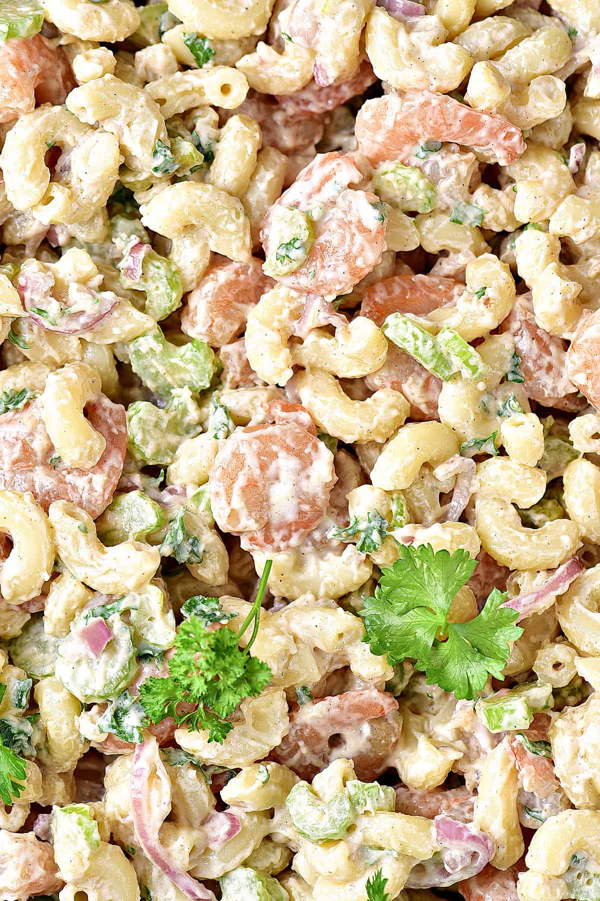 Close up shrimp pasta salad with parsley leaves.