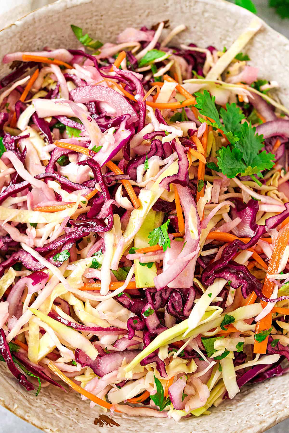 Close up white bowl with red and white coleslaw.