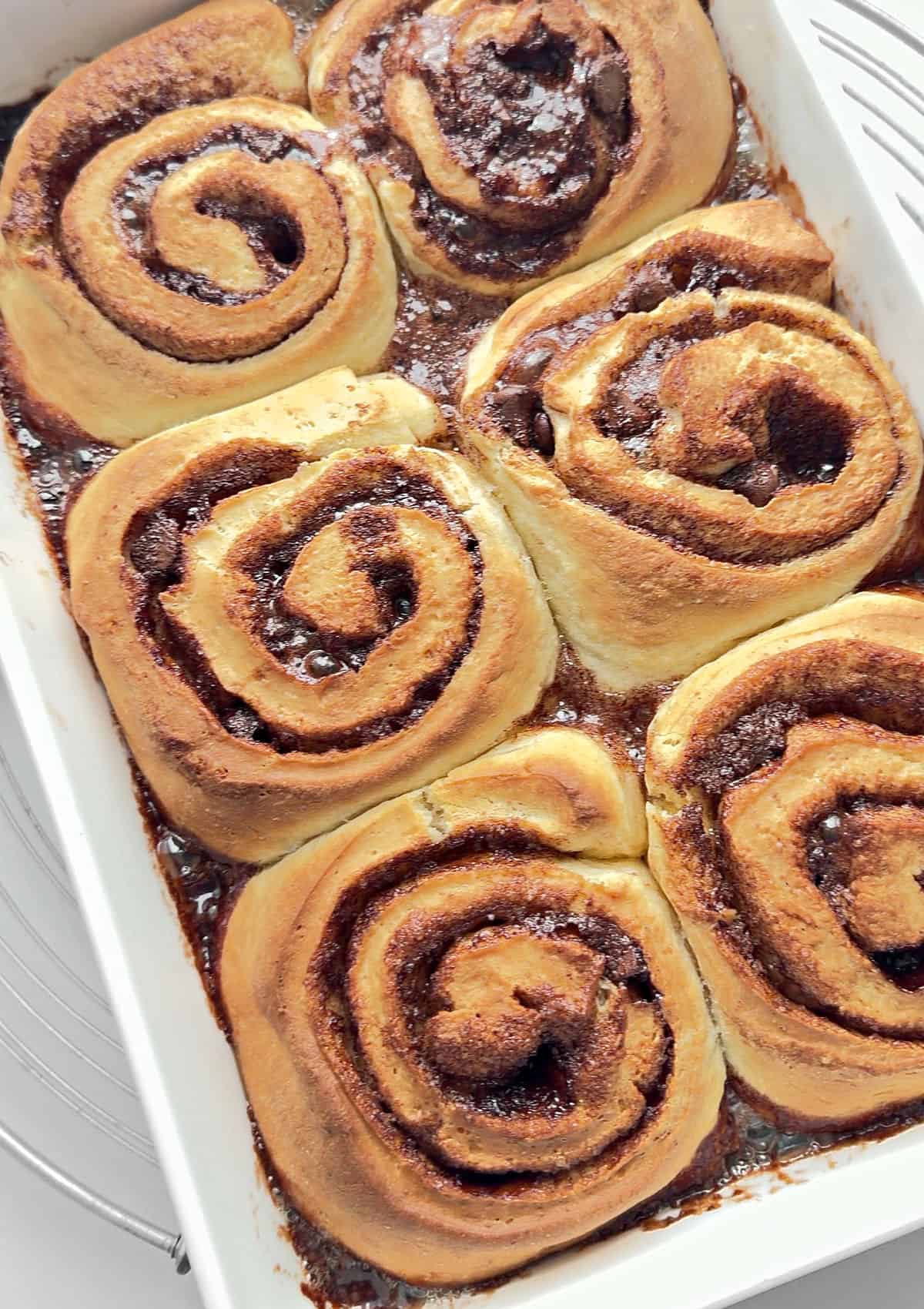 Baked cinnamon chocolate rolls in a rectangular white baking dish.