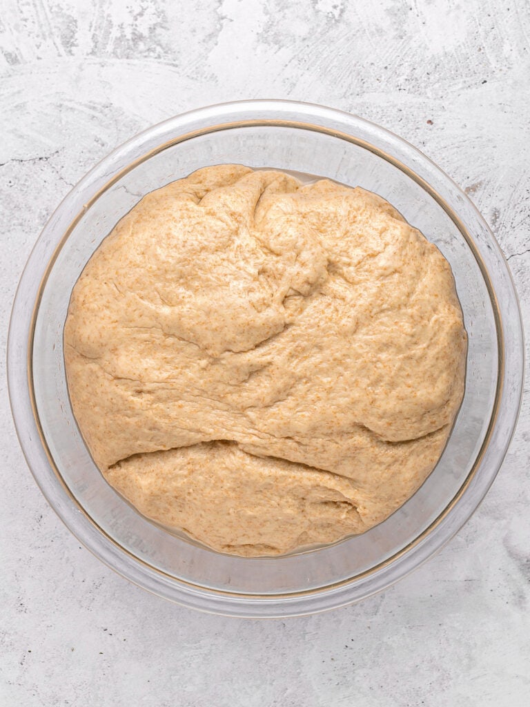Glass bowl with risen whole wheat dough. Light gray surface.