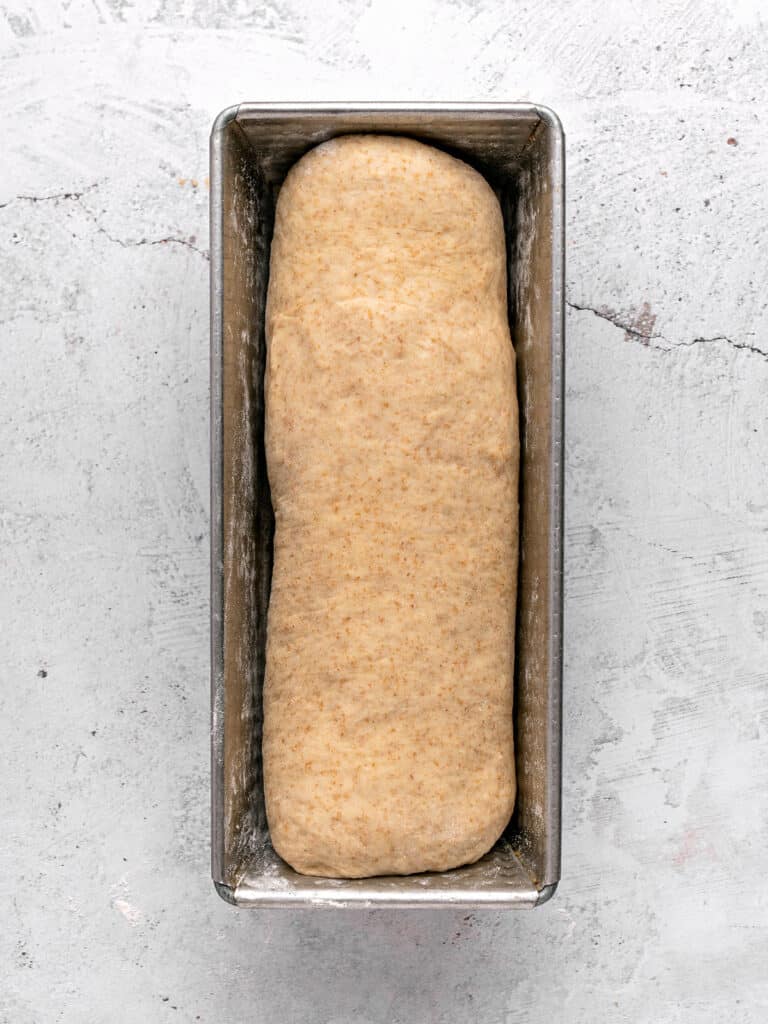 Metal loaf pan with sandwich bread dough. Light gray surface.