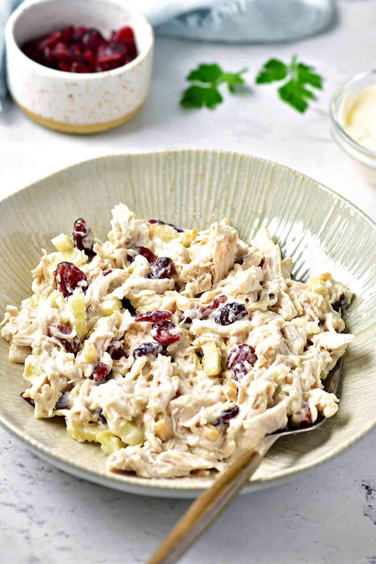 Serving of chicken cranberry salad in a light gray plate. Silver wood fork. White background.