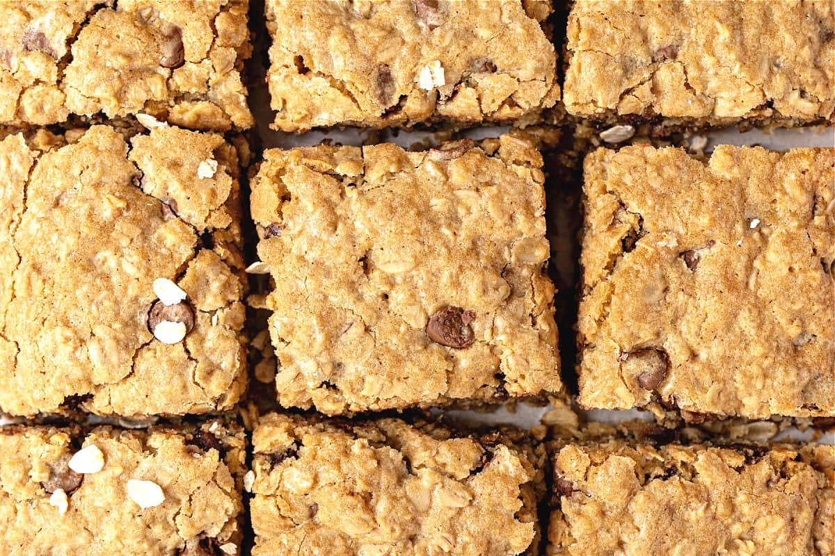 Rows of oat chocolate chip bars.