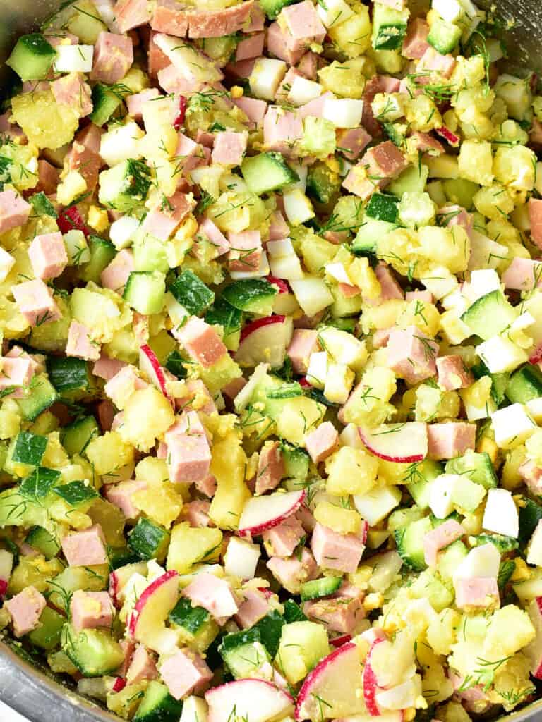 Chopped ham, cucumber, eggs, radishes and dill. Close up.