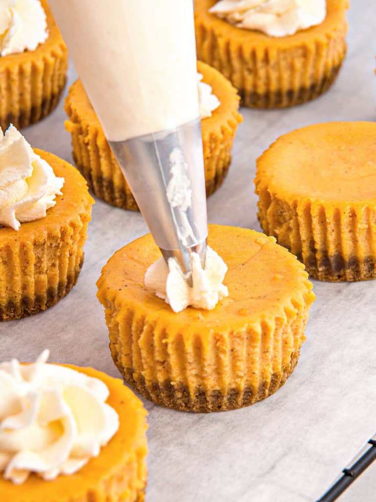 Piping whipped cream rosettes on mini pumpkin cheesecake on white paper.