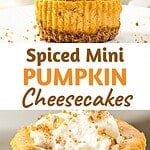Stack and bitten mini pumpkin cheesecakes with brown text overlay.