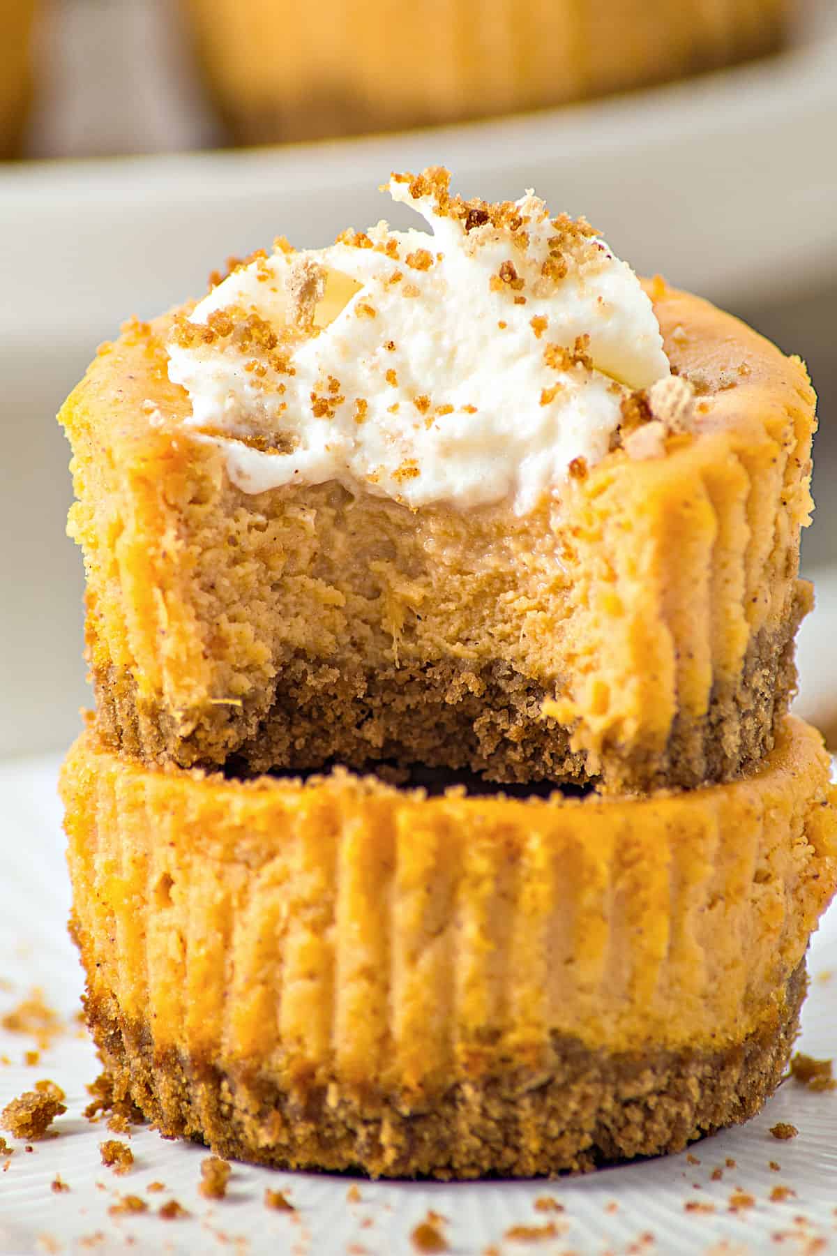 Bitten top mini pumpkin cheesecake with whipped cream. White plate.
