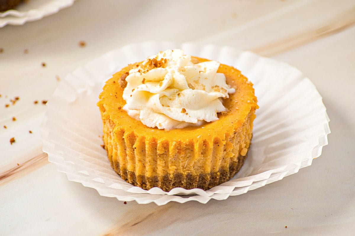 Opened white paper liners with mini pumpkin cheesecake with whipped cream. White marble.