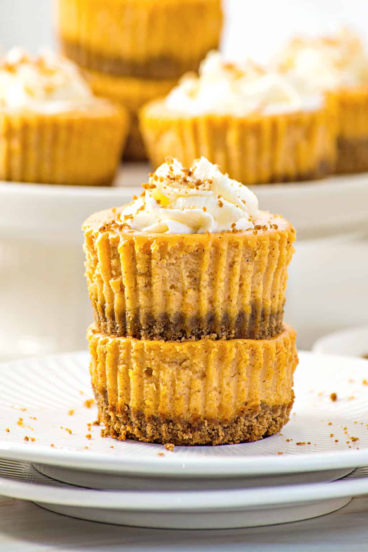 Mini pumpkin cheesecakes stacked on a white plate. More in the white background.