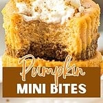 Brown and white text overlay on whole and bitten mini pumpkin cheesecakes.